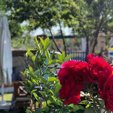 Tuana Butik 2* Cesme